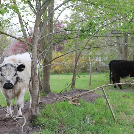 アパート Tondegarden 3 オーデンセ