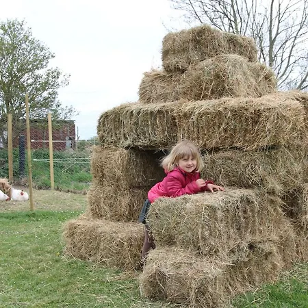 Tondegarden 3 Odense